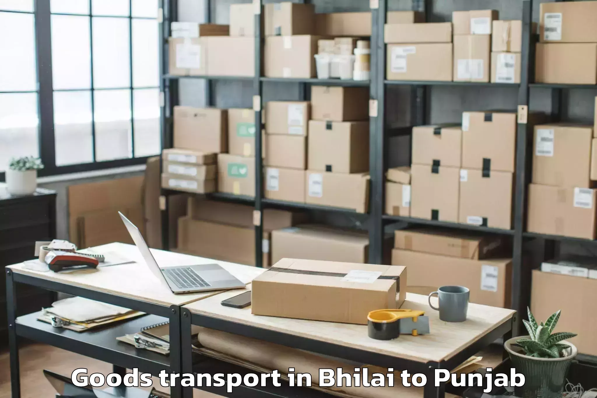 Leading Bhilai to Mansa Goods Transport Provider